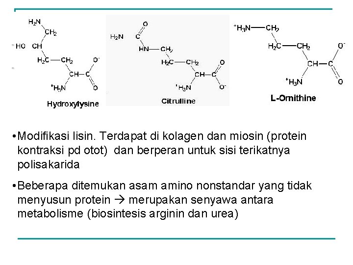  • Modifikasi lisin. Terdapat di kolagen dan miosin (protein kontraksi pd otot) dan