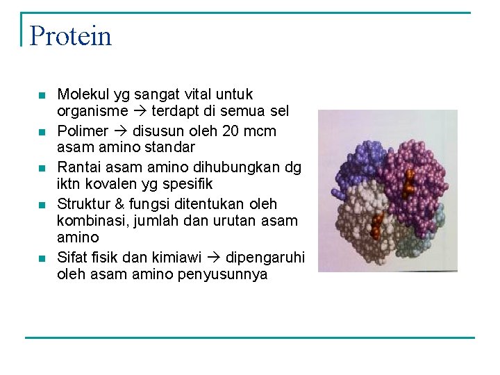 Protein n n Molekul yg sangat vital untuk organisme terdapt di semua sel Polimer