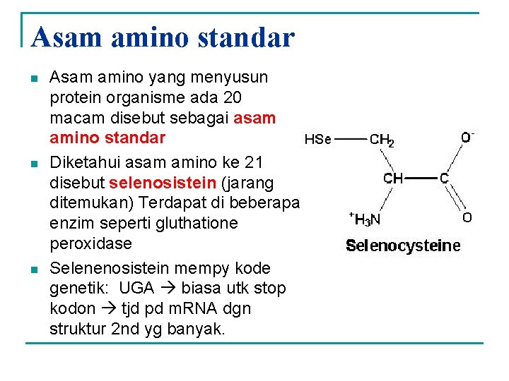 Asam amino standar n n n Asam amino yang menyusun protein organisme ada 20