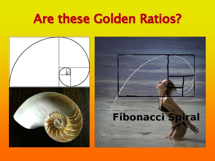 Are these Golden Ratios? 