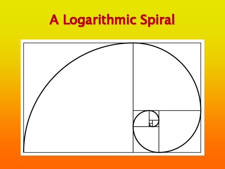 A Logarithmic Spiral 