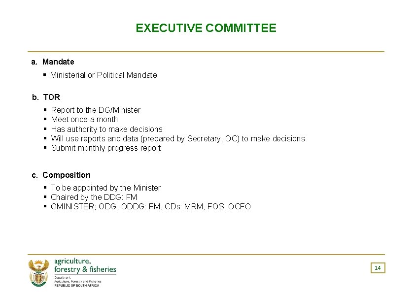 EXECUTIVE COMMITTEE a. Mandate ▪ Ministerial or Political Mandate b. TOR ▪ ▪ ▪