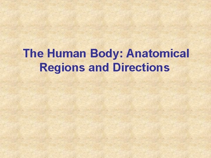 The Human Body: Anatomical Regions and Directions 