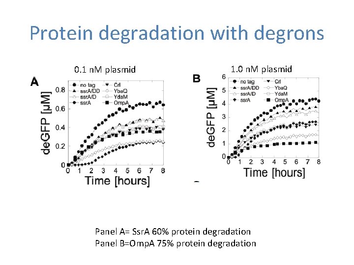 Protein degradation with degrons 0. 1 n. M plasmid 1. 0 n. M plasmid