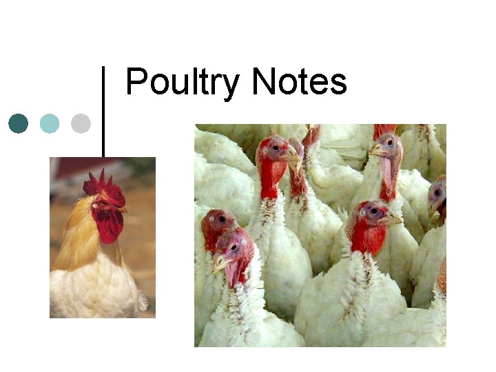 Poultry Notes 