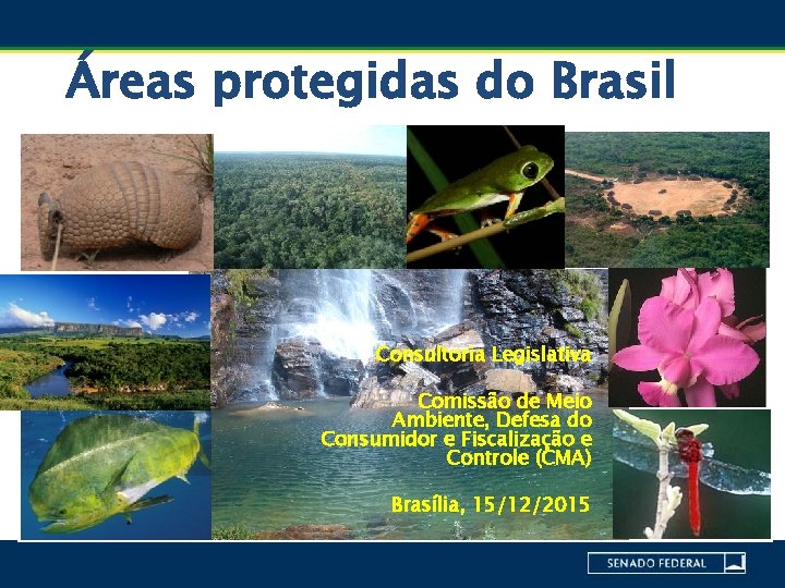 Áreas protegidas do Brasil Consultoria Legislativa Comissão de Meio Ambiente, Defesa do Consumidor e