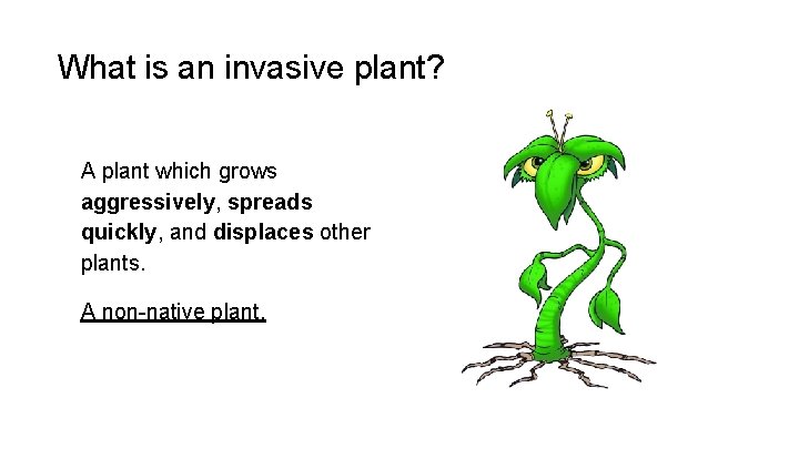 What is an invasive plant? A plant which grows aggressively, spreads quickly, and displaces