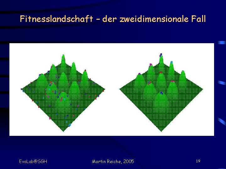 Fitnesslandschaft – der zweidimensionale Fall Evo. Lab@SGH Martin Reiche, 2005 19 