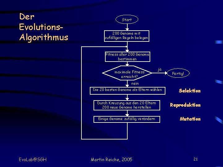 Der Evolutions. Algorithmus Start 200 Genome mit zufälligen Regeln belegen Fitness aller 200 Genome