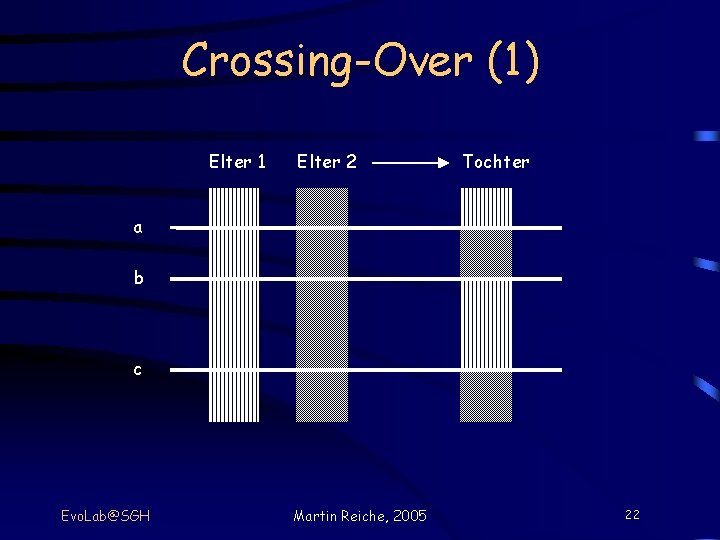 Crossing-Over (1) Elter 1 Elter 2 Tochter a b c Evo. Lab@SGH Martin Reiche,