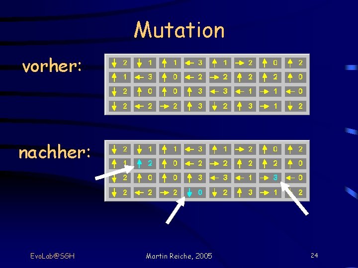 Mutation vorher: nachher: Evo. Lab@SGH Martin Reiche, 2005 24 