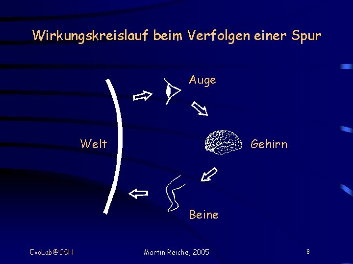 Wirkungskreislauf beim Verfolgen einer Spur Auge Welt Gehirn Beine Evo. Lab@SGH Martin Reiche, 2005