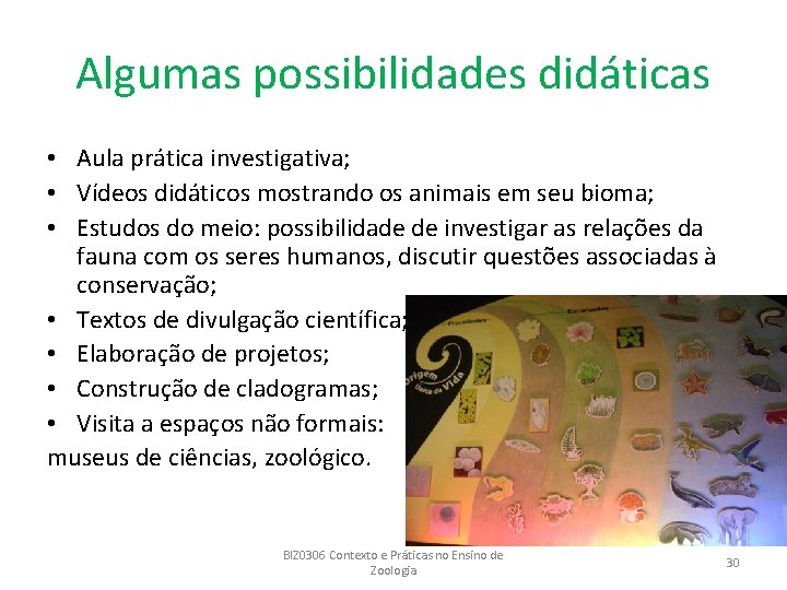 Algumas possibilidades didáticas • Aula prática investigativa; • Vídeos didáticos mostrando os animais em