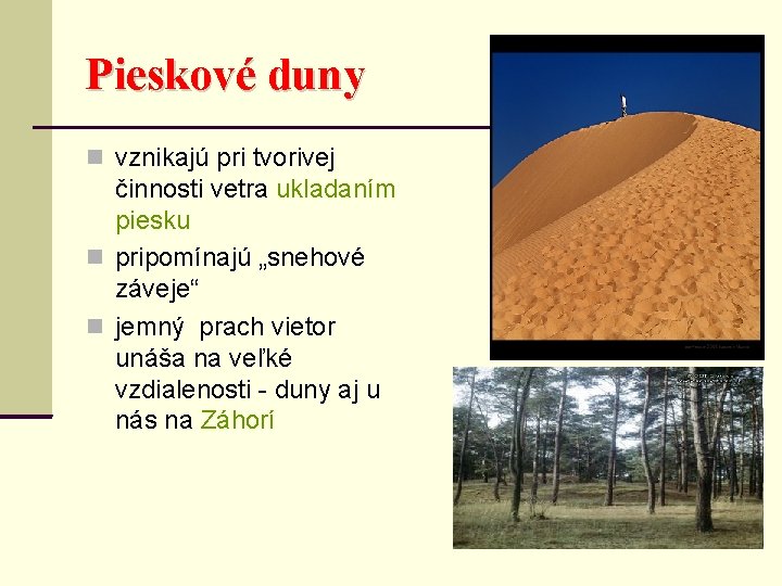 Pieskové duny vznikajú pri tvorivej činnosti vetra ukladaním piesku pripomínajú „snehové záveje“ jemný prach