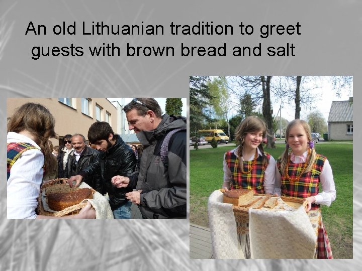 An old Lithuanian tradition to greet guests with brown bread and salt 