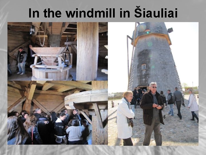 In the windmill in Šiauliai 