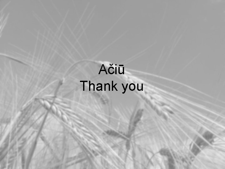 Ačiū Thank you 