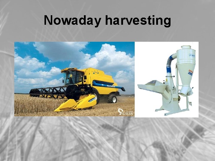 Nowaday harvesting 