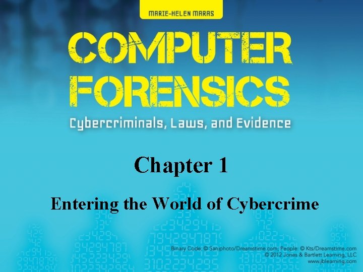 Chapter 1 Entering the World of Cybercrime 