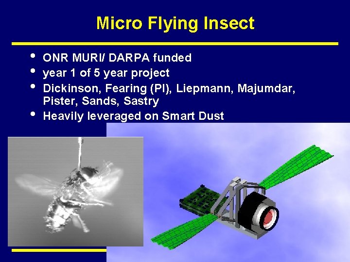 Micro Flying Insect • • ONR MURI/ DARPA funded year 1 of 5 year