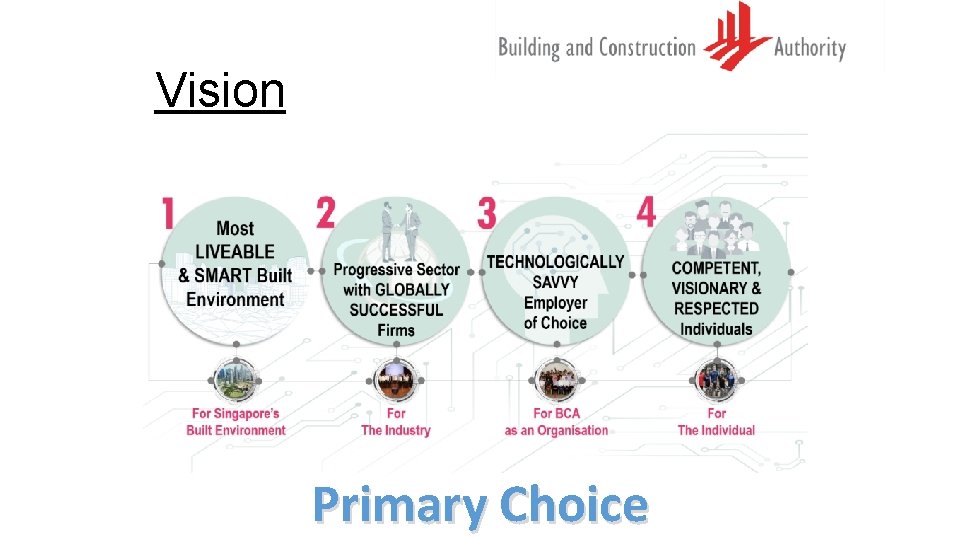 Vision Primary Choice 