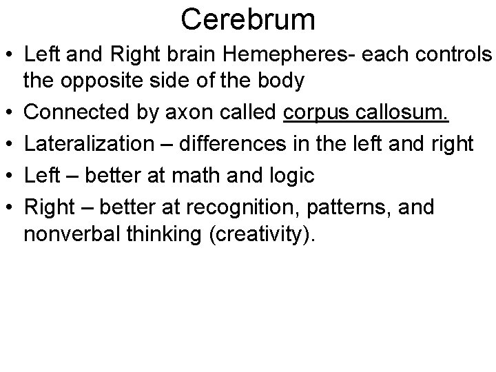 Cerebrum • Left and Right brain Hemepheres- each controls the opposite side of the