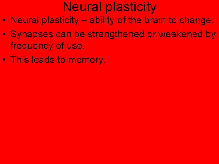 Neural plasticity • Neural plasticity – ability of the brain to change. • Synapses