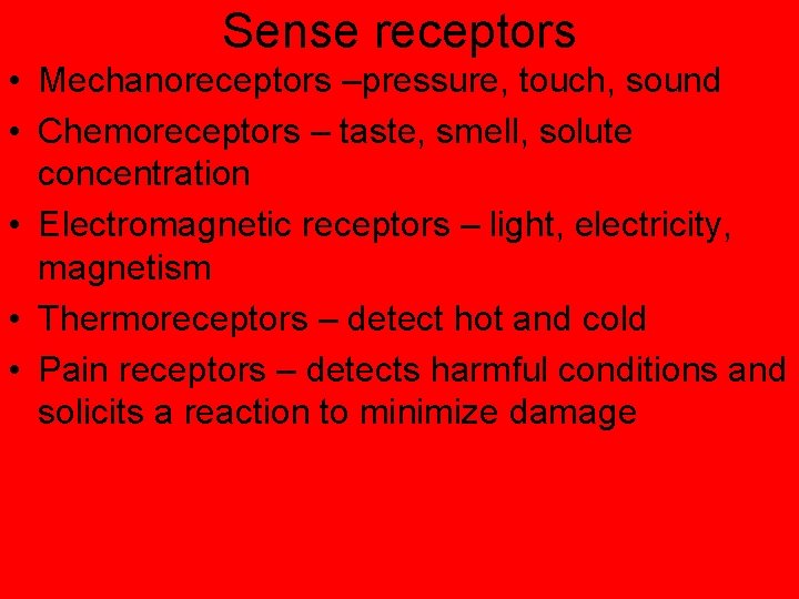 Sense receptors • Mechanoreceptors –pressure, touch, sound • Chemoreceptors – taste, smell, solute concentration