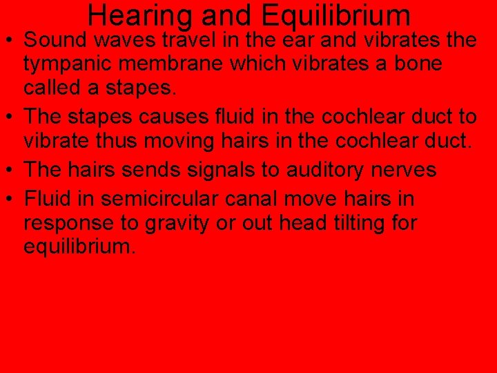 Hearing and Equilibrium • Sound waves travel in the ear and vibrates the tympanic