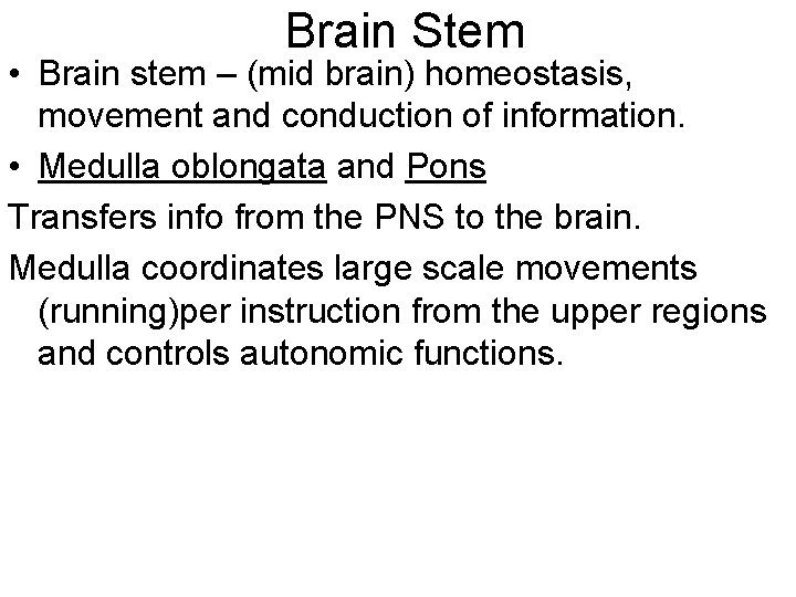 Brain Stem • Brain stem – (mid brain) homeostasis, movement and conduction of information.