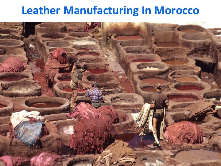 Leather Manufacturing In Morocco 