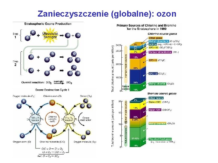 Zanieczyszczenie (globalne): ozon 