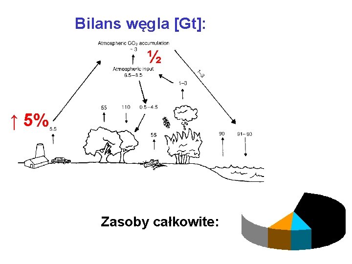 Bilans węgla [Gt]: ½ ↑ 5% Zasoby całkowite: 