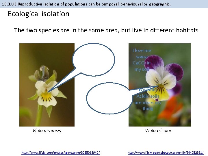 10. 3. U 3 Reproductive isolation of populations can be temporal, behavioural or geographic.