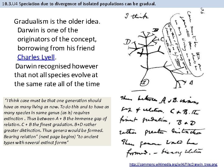 10. 3. U 4 Speciation due to divergence of isolated populations can be gradual.