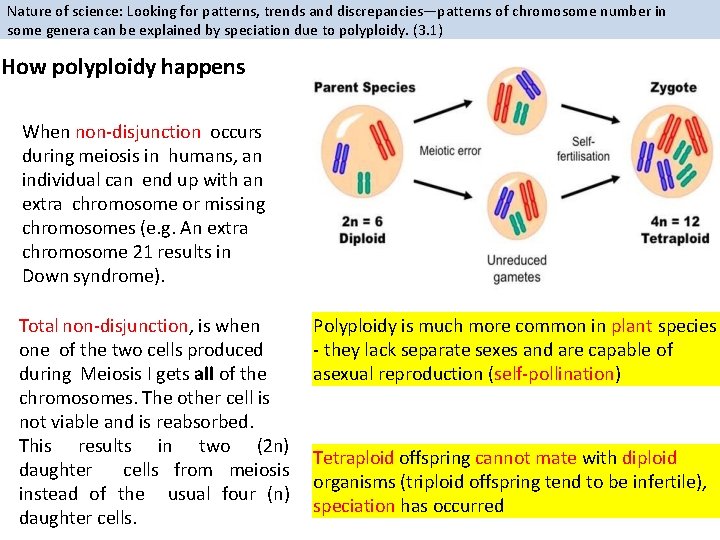 Nature of science: Looking for patterns, trends and discrepancies—patterns of chromosome number in some