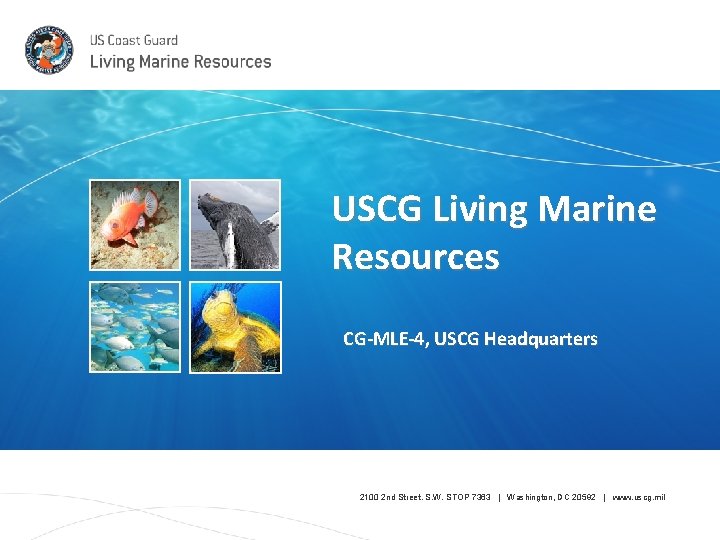 USCG Living Marine Resources CG-MLE-4, USCG Headquarters 2100 2 nd Street. S. W. STOP