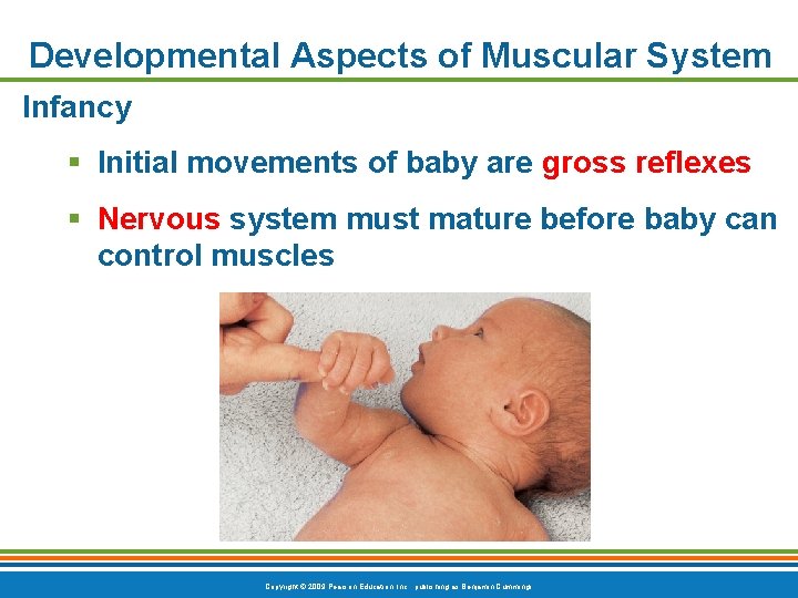 Developmental Aspects of Muscular System Infancy § Initial movements of baby are gross reflexes