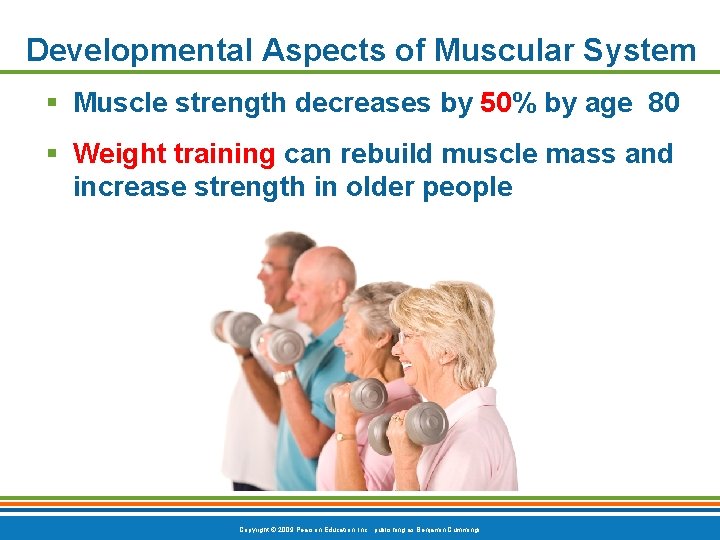 Developmental Aspects of Muscular System § Muscle strength decreases by 50% by age 80