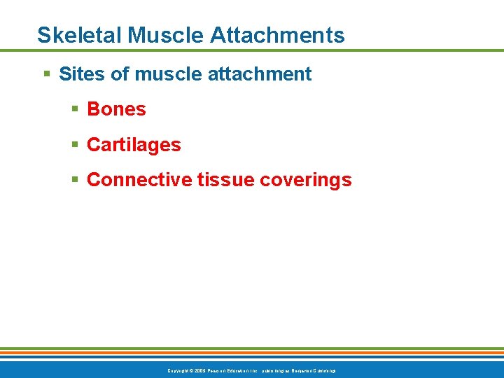 Skeletal Muscle Attachments § Sites of muscle attachment § Bones § Cartilages § Connective