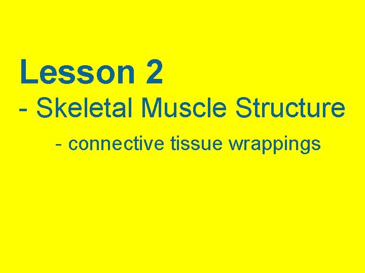 Lesson 2 - Skeletal Muscle Structure - connective tissue wrappings 