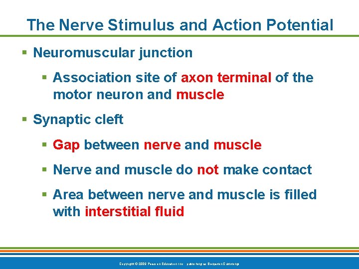 The Nerve Stimulus and Action Potential § Neuromuscular junction § Association site of axon