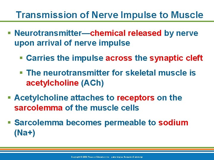 Transmission of Nerve Impulse to Muscle § Neurotransmitter—chemical released by nerve upon arrival of