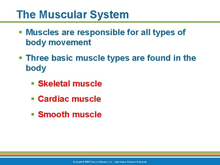 The Muscular System § Muscles are responsible for all types of body movement §