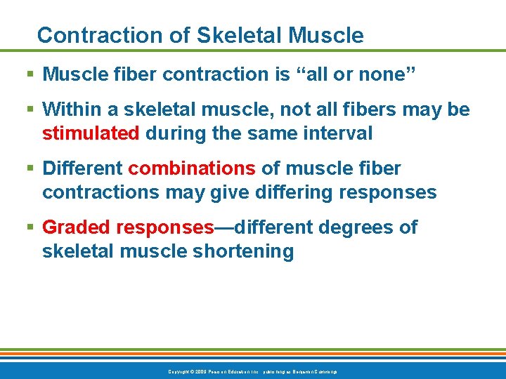 Contraction of Skeletal Muscle § Muscle fiber contraction is “all or none” § Within