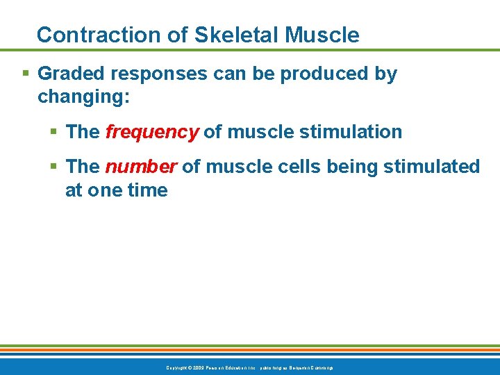 Contraction of Skeletal Muscle § Graded responses can be produced by changing: § The