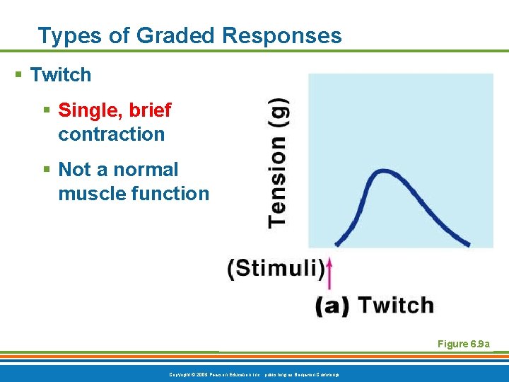 Types of Graded Responses § Twitch § Single, brief contraction § Not a normal