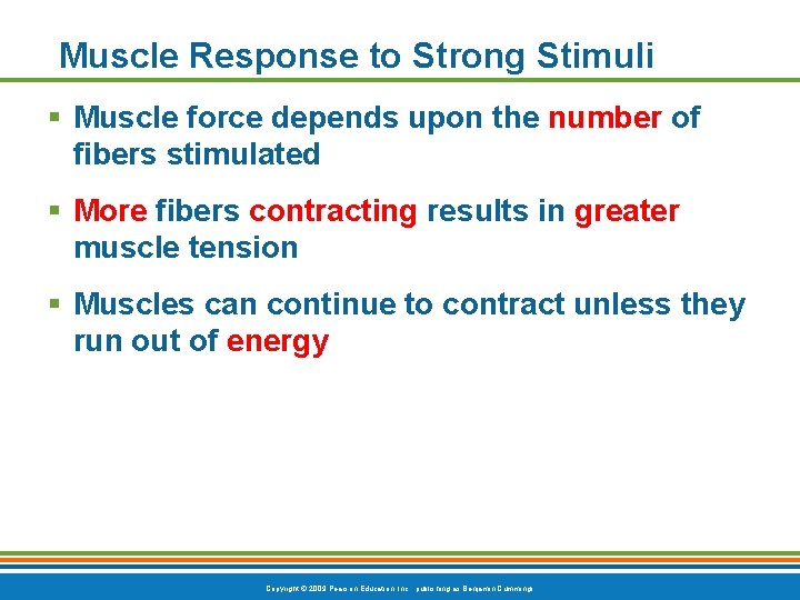 Muscle Response to Strong Stimuli § Muscle force depends upon the number of fibers