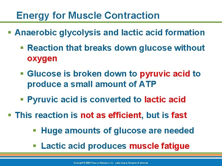 Energy for Muscle Contraction § Anaerobic glycolysis and lactic acid formation § Reaction that