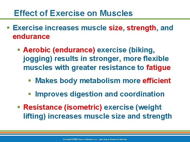 Effect of Exercise on Muscles § Exercise increases muscle size, strength, and endurance §